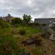 DSC0011 1748622349 1444.JPG